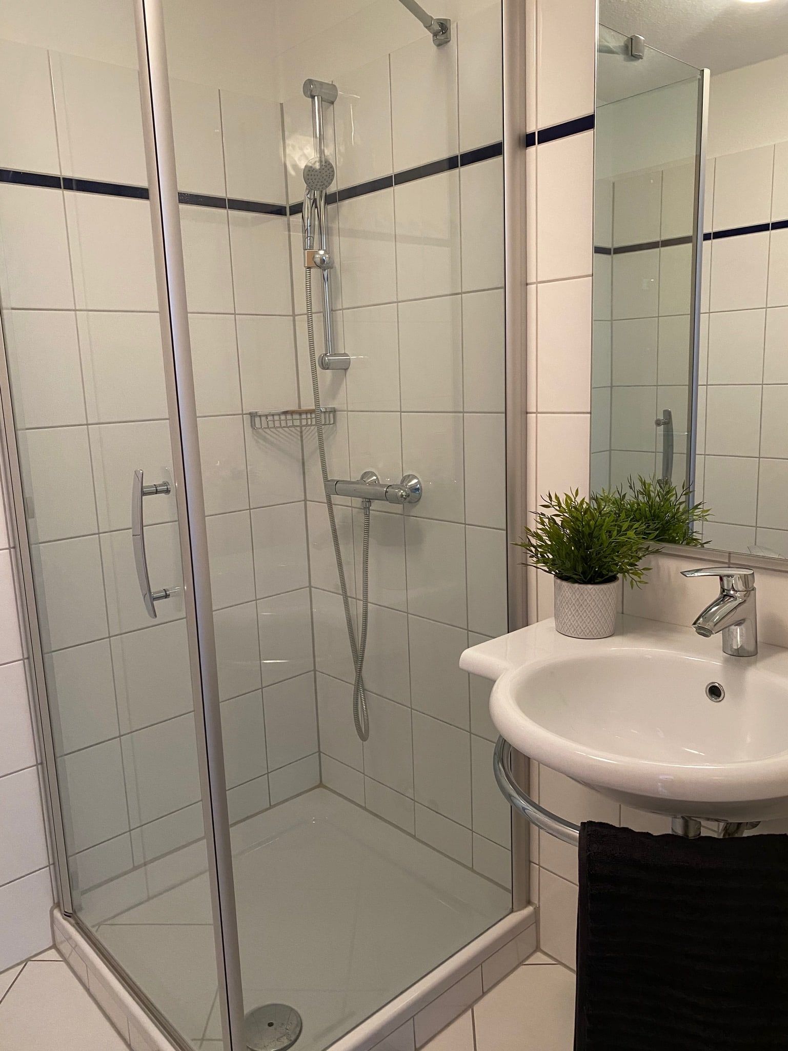 Moderne Dusche mit Glastür und weißem Waschbecken mit Pflanzen-Dekoration