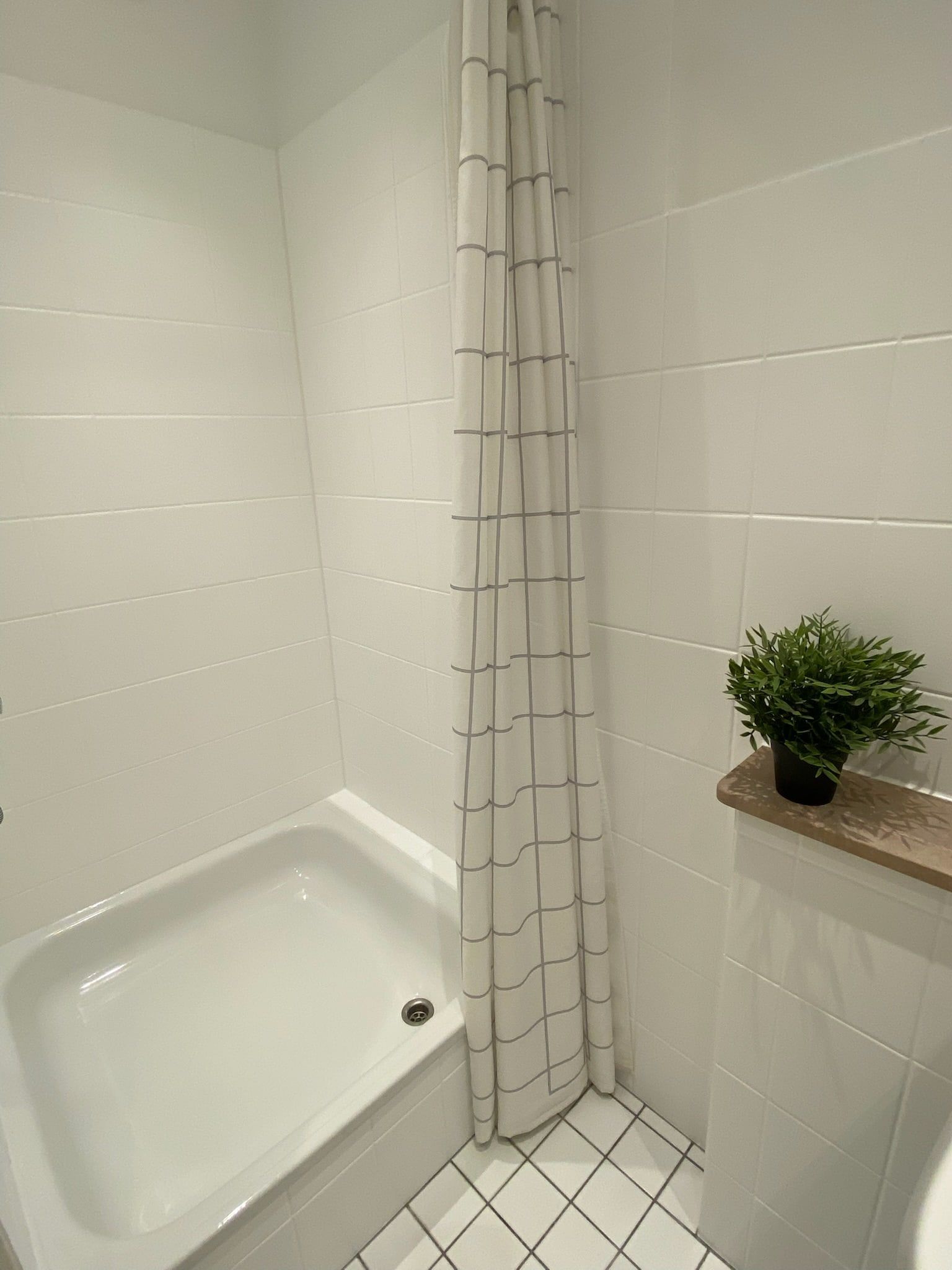 Eine weiße Badewanne mit einem karierten Duschvorhang und einer kleinen Pflanze auf einem Regal.
